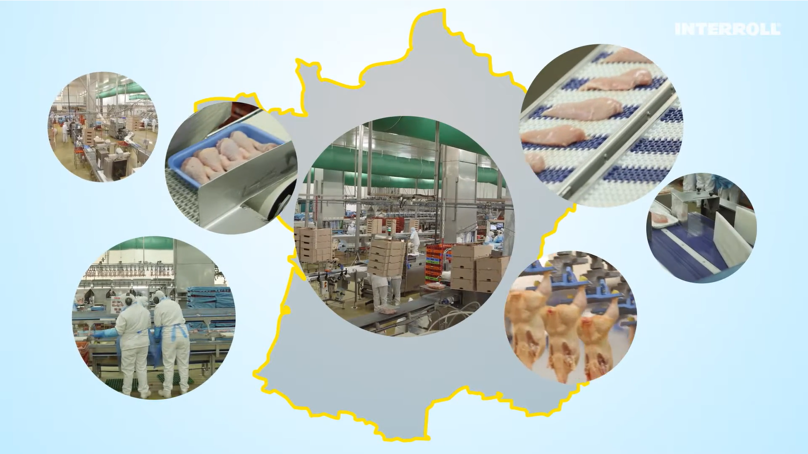 Giải pháp băng tải phân loại ngành thực phẩm