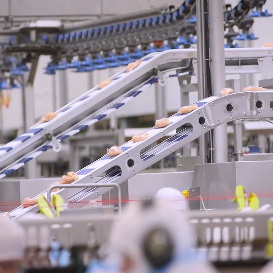 Giải Pháp Băng Tải Phân Loại Ngành Thực Phẩm