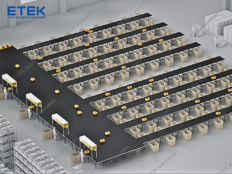 Hệ thống phân loại T-sort