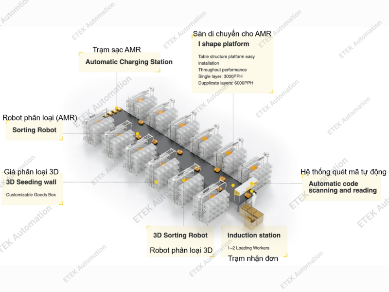 cấu tạo hệ thống phân loại 3D 