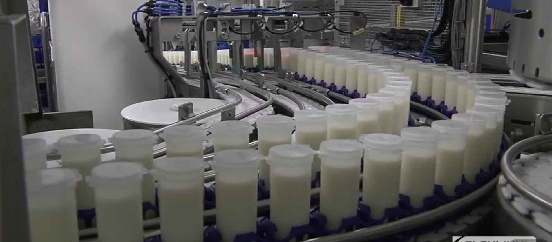 băng tải xích nhựa