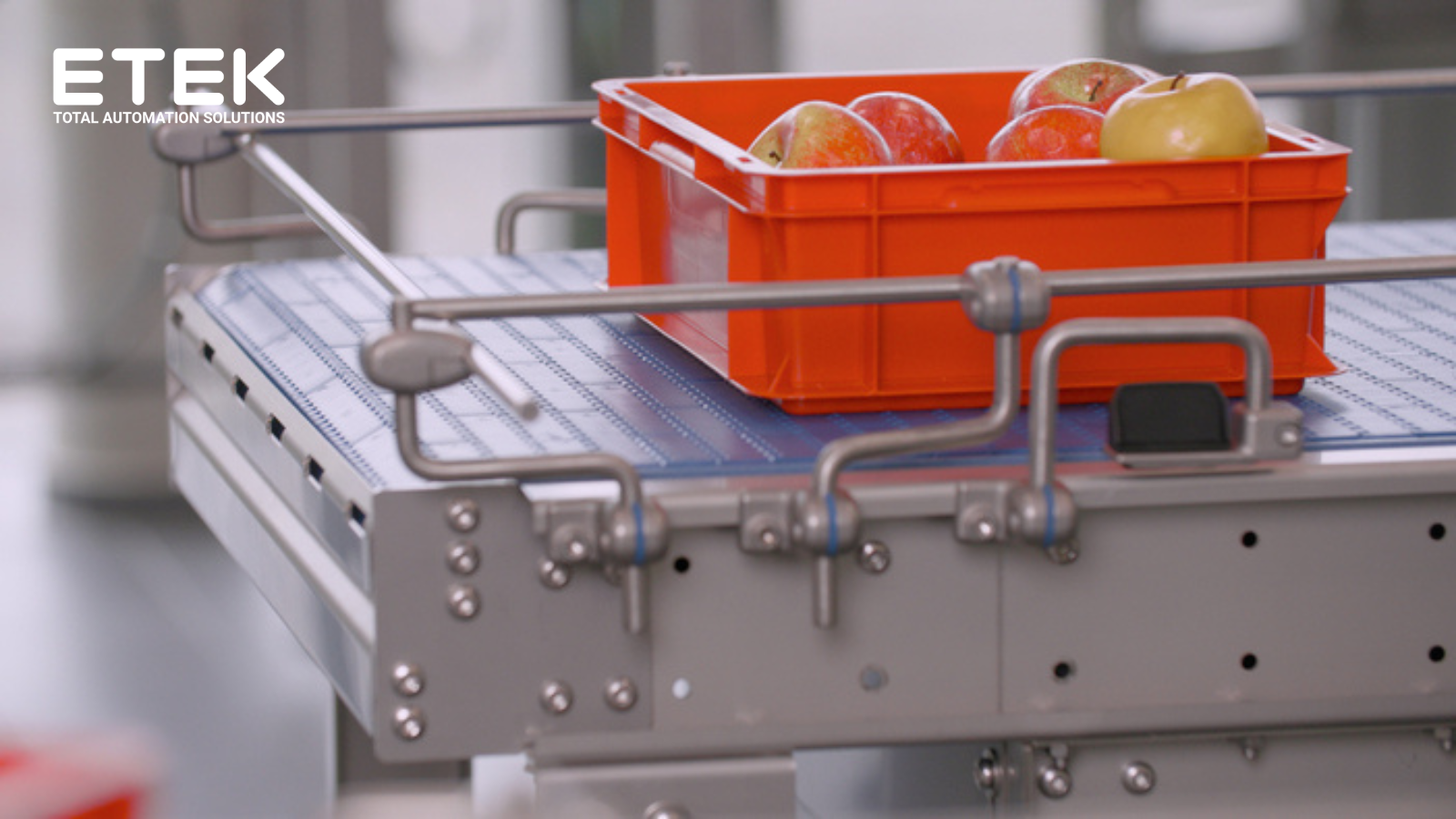 Conveyor Technology for Packaged Food